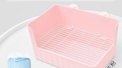 💖 토끼, 햄스터 배변 훈련 성공! 꿀팁 대방출 (내돈내산) 🐇✨