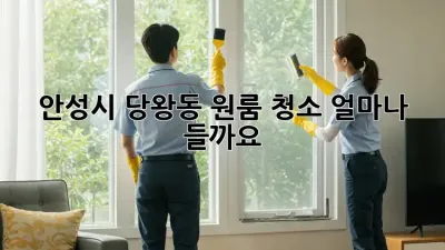 안성시 당왕동 원룸 청소, 얼마나 들까요?